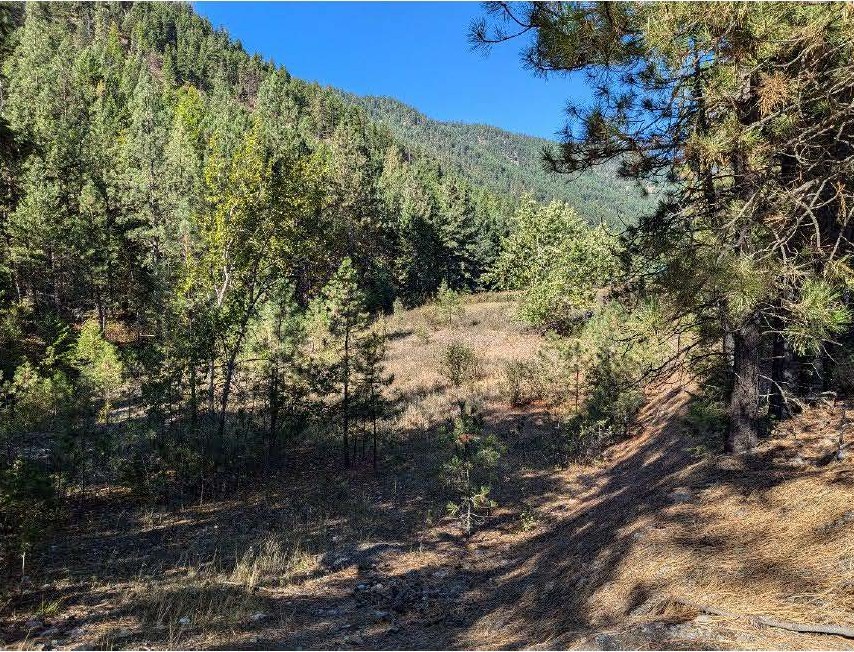 MDT Property for Sale – 3.40 miles Southeast of Superior, MT 59872