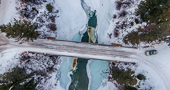 view of icy bridge image